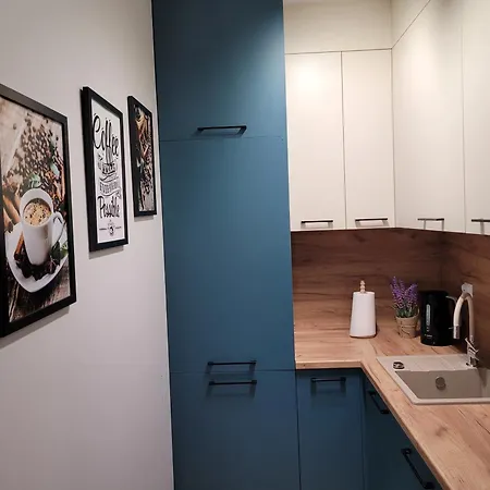 Z Basenem I Jacuzzi Karmelowy Na Dolnej Park A13, Ul Dolna 7a Appartement